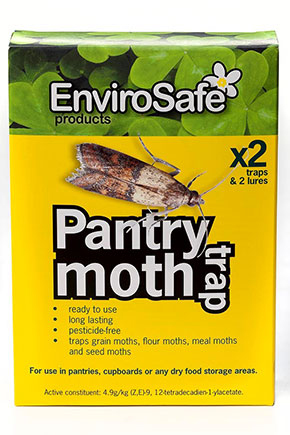 Pantry-Moth_CLIP